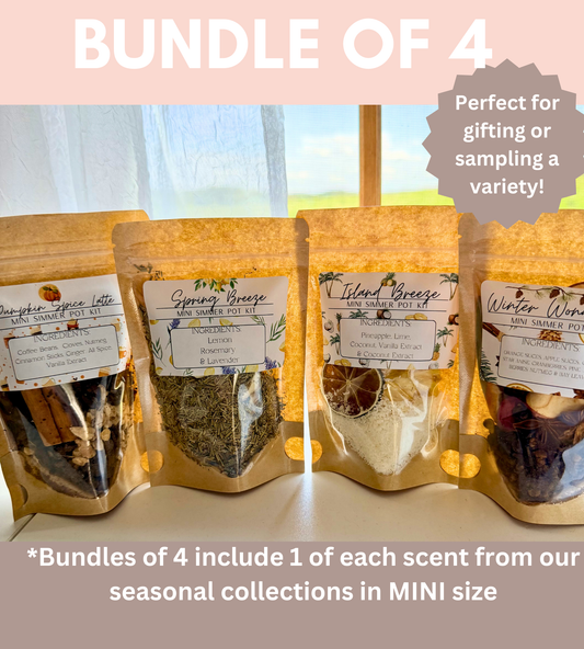 Four Seasons Mini Simmer Pot Set