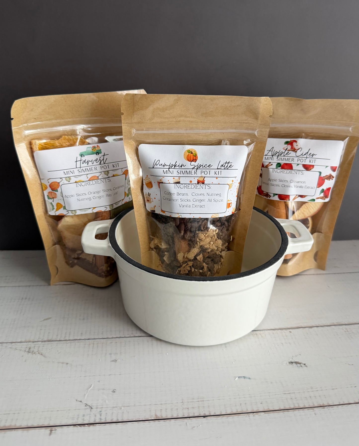 Fall Simmer Pot - Set of 3 Mini Kits (variety pack)