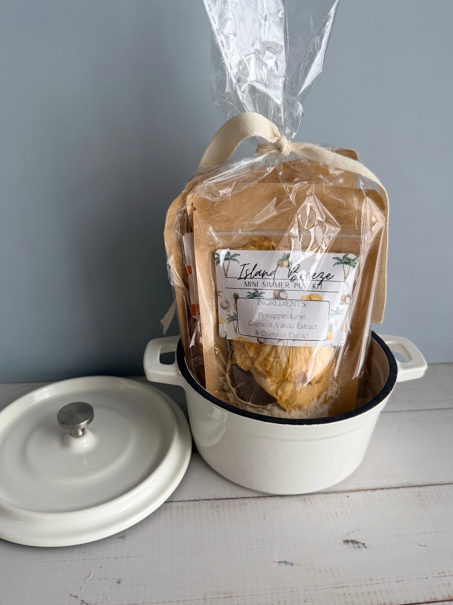 Summer Simmer Pot - Set of 3 Mini Kits (variety pack)