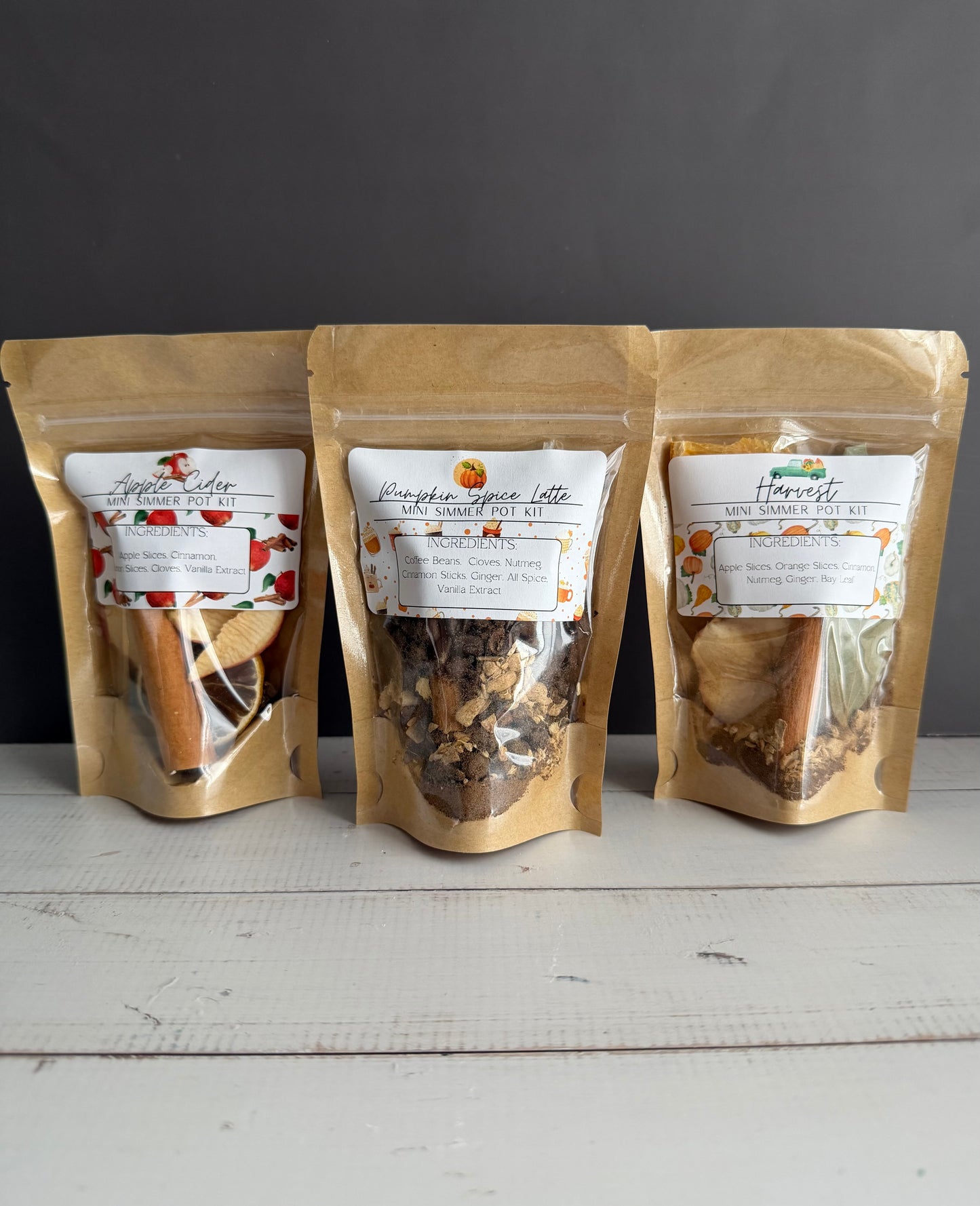 Fall Simmer Pot - Set of 3 Mini Kits (variety pack)